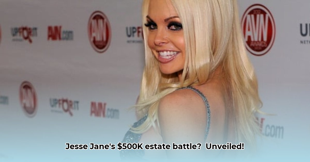 jesse-jane-net-worth-at-death